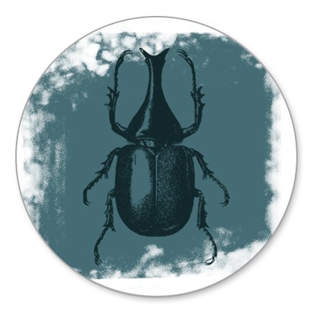 Insect met witte verf